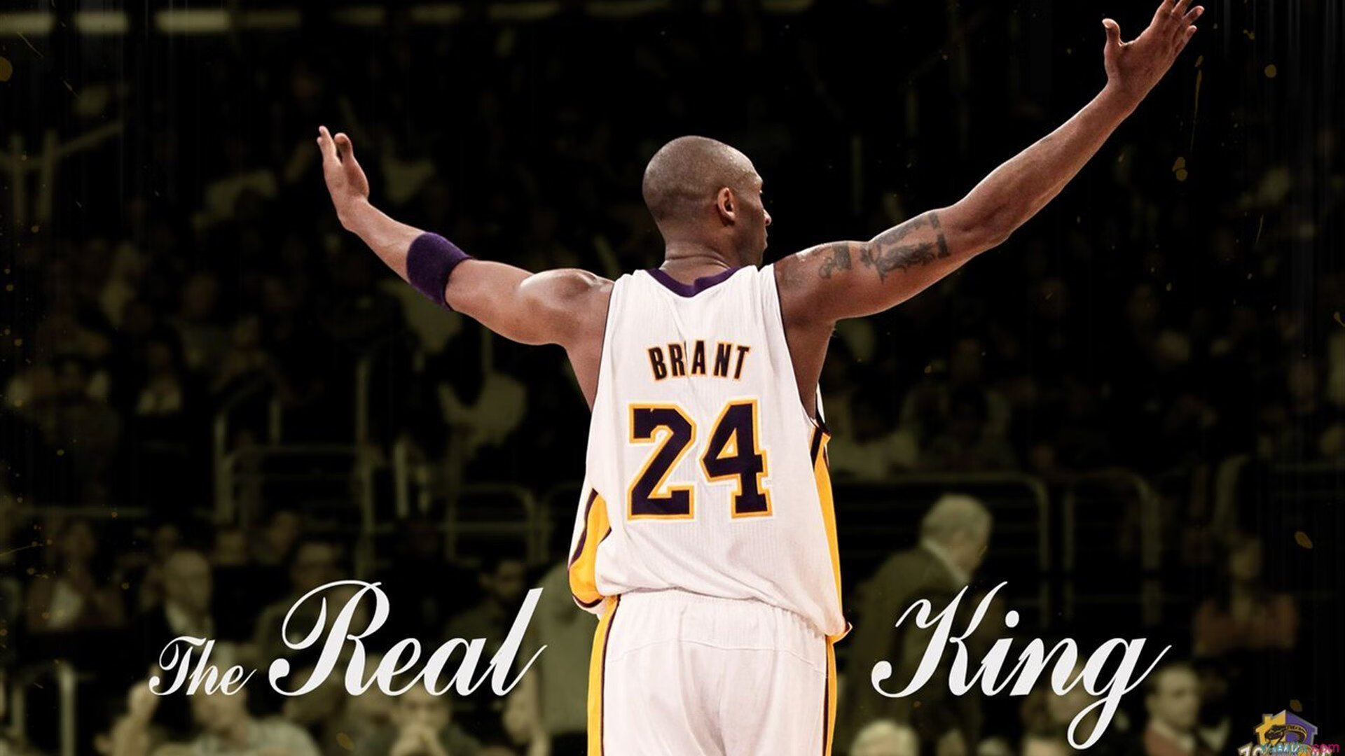 Ning重要时刻重要助攻，勇士带队取胜！气势如虹延续