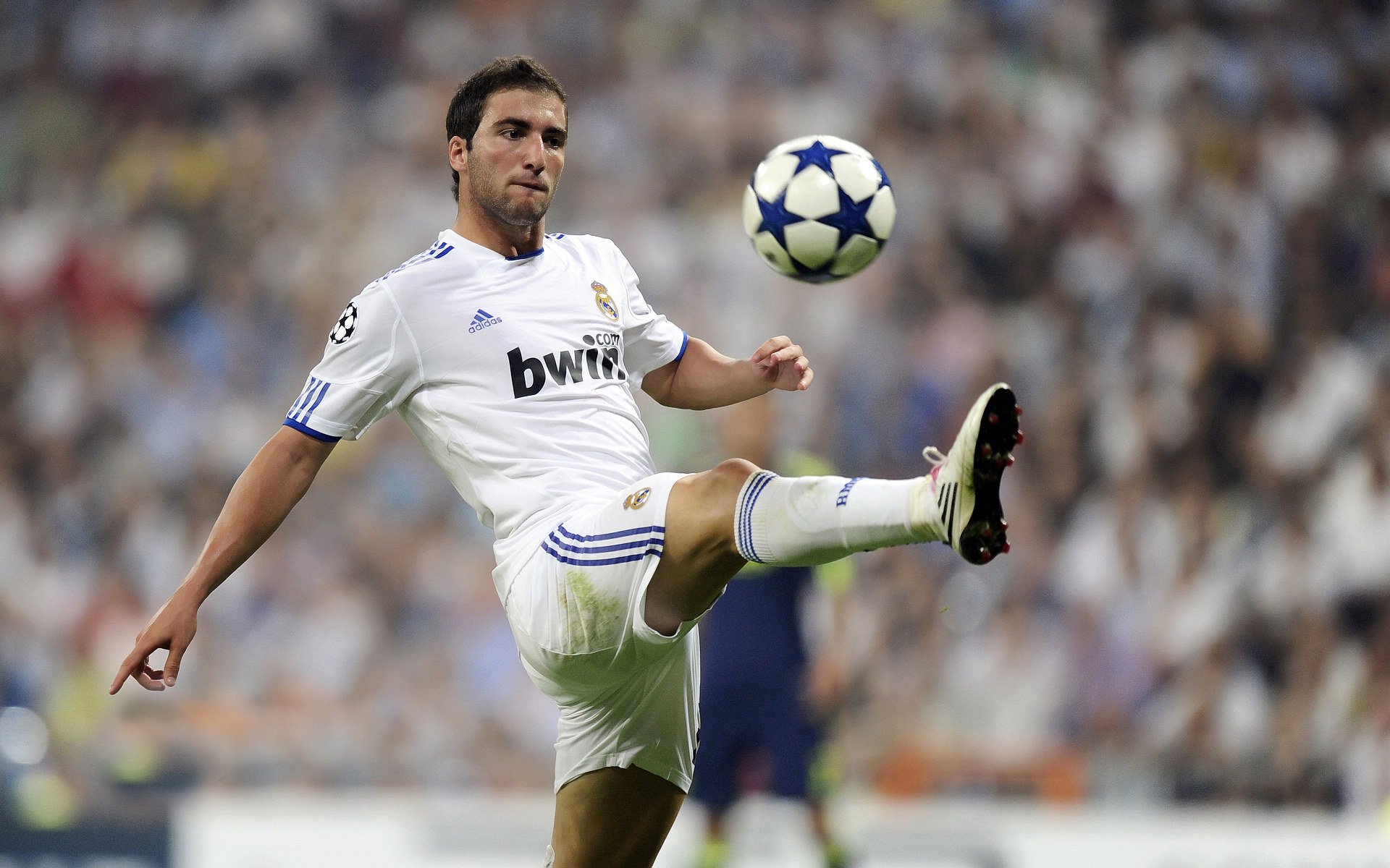 重要助攻首场状态出色，掘金观众沸腾！，纳达尔重返赛场全场沸腾不已